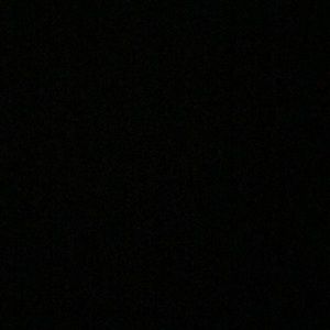 Meet your Posher, Will